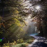 Suedhang * Winterberg