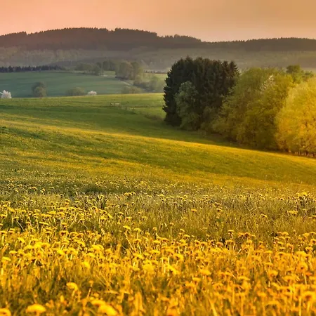 Prázdninový dům Suedhang *