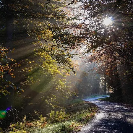 Suedhang * Winterberg