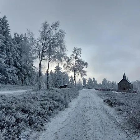 Prázdninový dům Suedhang Winterberg