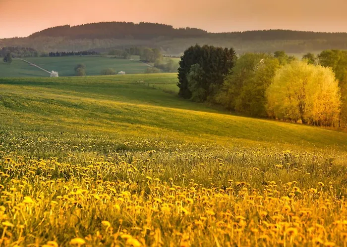 Σπίτι διακοπών Suedhang *