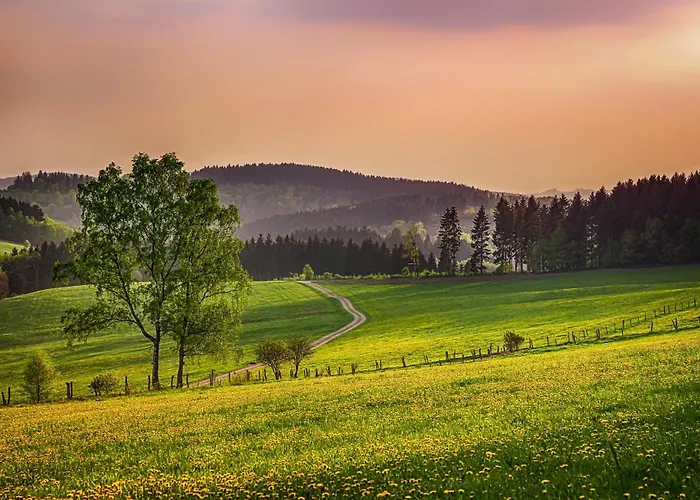 Suedhang * Βίντερμπεργκ
